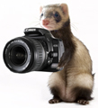 Huri fotografo