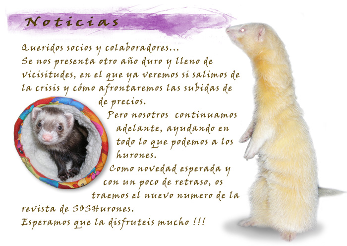 Noticias SOSHurones